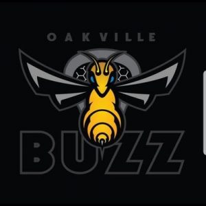 Oakville Buzz